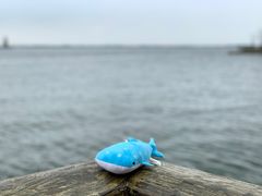 -上海滴水湖皇冠假日酒店