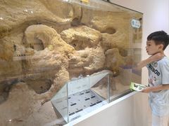 -上海昆虫博物馆