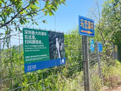 -马峦山郊野公园
