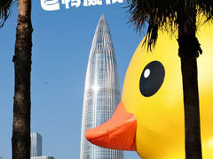 -深圳人才公园