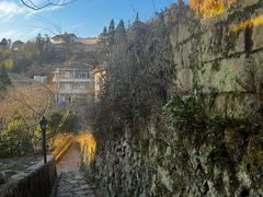 -鼓岭旅游度假区