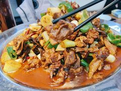 -俭寨大盘芦花土鸡·小公鸡·烧烤新疆菜(云通店)