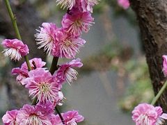 -静安雕塑公园