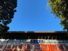 -北京艺术博物馆(万寿寺)