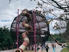 -枫香湖儿童公园