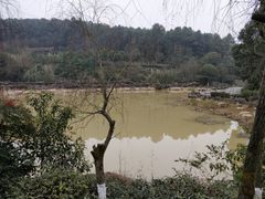 -铁山坪森林公园