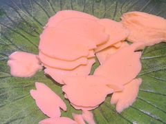 素鲍鱼-好伦哥比萨烤肉自助(马家堡店)