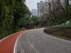 -龙头寺公园