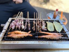 -尚庄度假村·庭台树下·户外烧烤·团建CS·轰趴营地(上庄水库店)