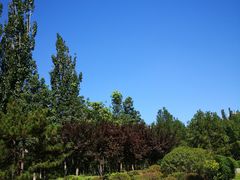 -永定河休闲森林公园