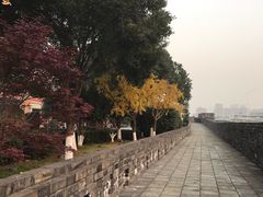 -楚望台遗址公园