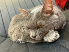 -庄老幺火锅(娄山关路店)