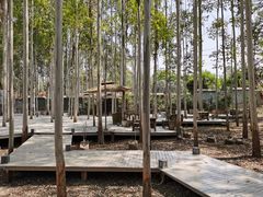 -桉树林A coffee 森林餐厅(三圣乡店)
