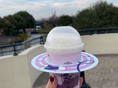 -喜茶(迪士尼小镇DP店)