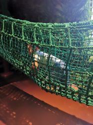 -奇幻丛林(佛罗伦萨小镇店)