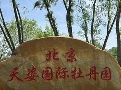 -太阳宫公园