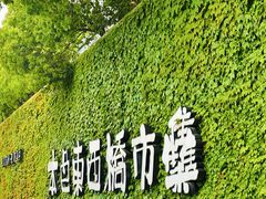 -苏州本色美术馆
