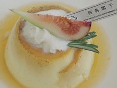 焦糖布丁-阿狗圆子