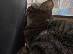 -美美宠物诊疗中心·异宠·骨科(滨江东信分院)
