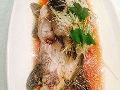 -骏莱海鲜鱼港(五角场店)