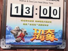-大连圣亚海洋世界