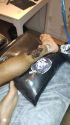 -飛凡TATTOO纹身•原创