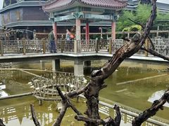 -北京呀路古热带植物园