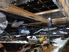 -红辣椒·川菜·火锅(张杨路店)