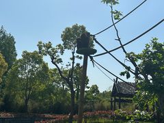 -上海野生动物园