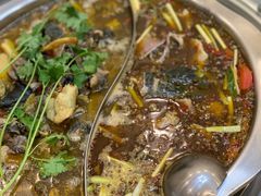 -黑河坝泡姜鸡贡椒鱼(贾旗路店)