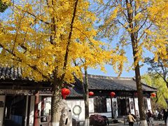 -常熟方塔园