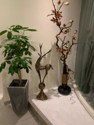 -康颜SPA自然疗愈皮肤管理中心