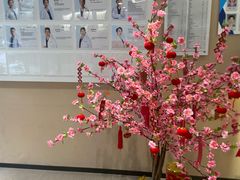 -瑞泰口腔(龙湖门诊)