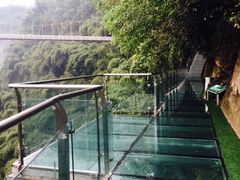 -川西竹海景区