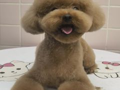 -FAELING PETS美天灵宠物(富力广场店)