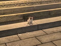 -牛牛牛酸菜煎肉店(望云寺路店)