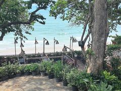 -卷心菜和避孕套餐厅(Pattaya)