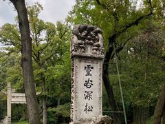 -灵谷景区