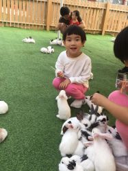 -萌宠亲子动物乐园(槐房万达店)