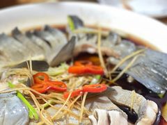 -煲来饱去冷水鱼