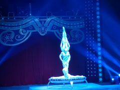 -珠海横琴长隆《卡卡虎奇遇记》