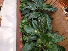 -云海肴云南菜·蒸汽石锅鱼(北京良乡华冠店)