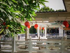 -荔湾湖公园