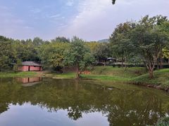 -合肥野生动物园