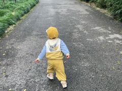 -重庆彩云湖湿地公园