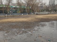 -莲湖公园
