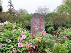 -洛阳市牡丹公园