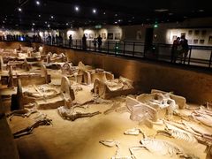 -洛阳周王城天子驾六博物馆