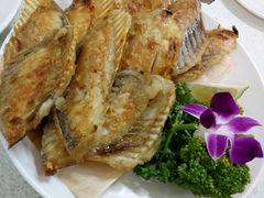 魚排翅-海龙珠海鲜餐厅