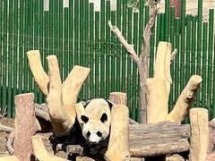 -沈阳森林动物园
